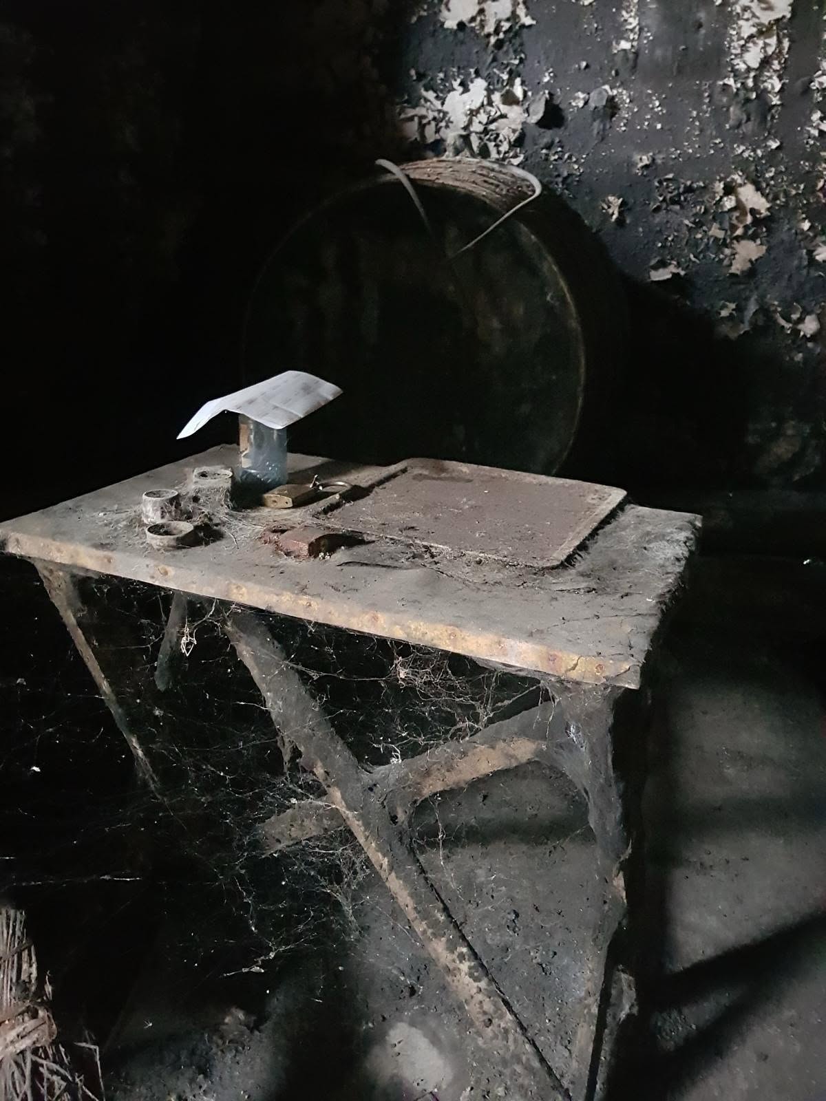 The forgotten cellar where the reserve was rediscovered